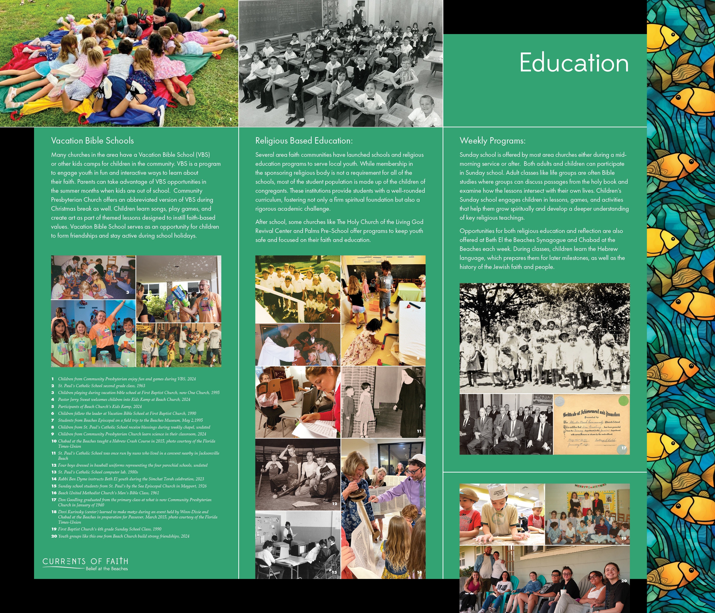 8-EDUCATION
