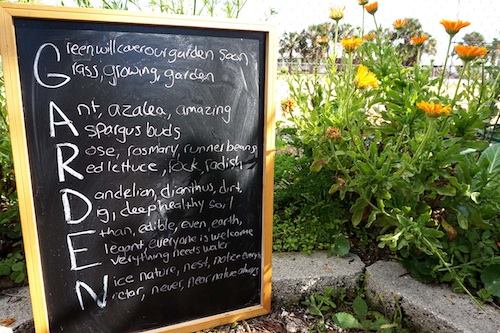 Chalkboard with sentences about gardening